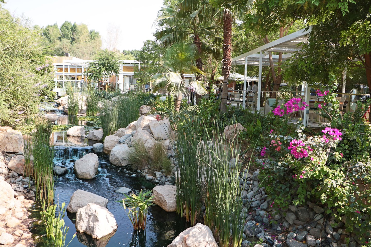 a522741d43b97cd9ce45ab7964e299ce4fa709ef3bbe46a266f5e25811bfbf82