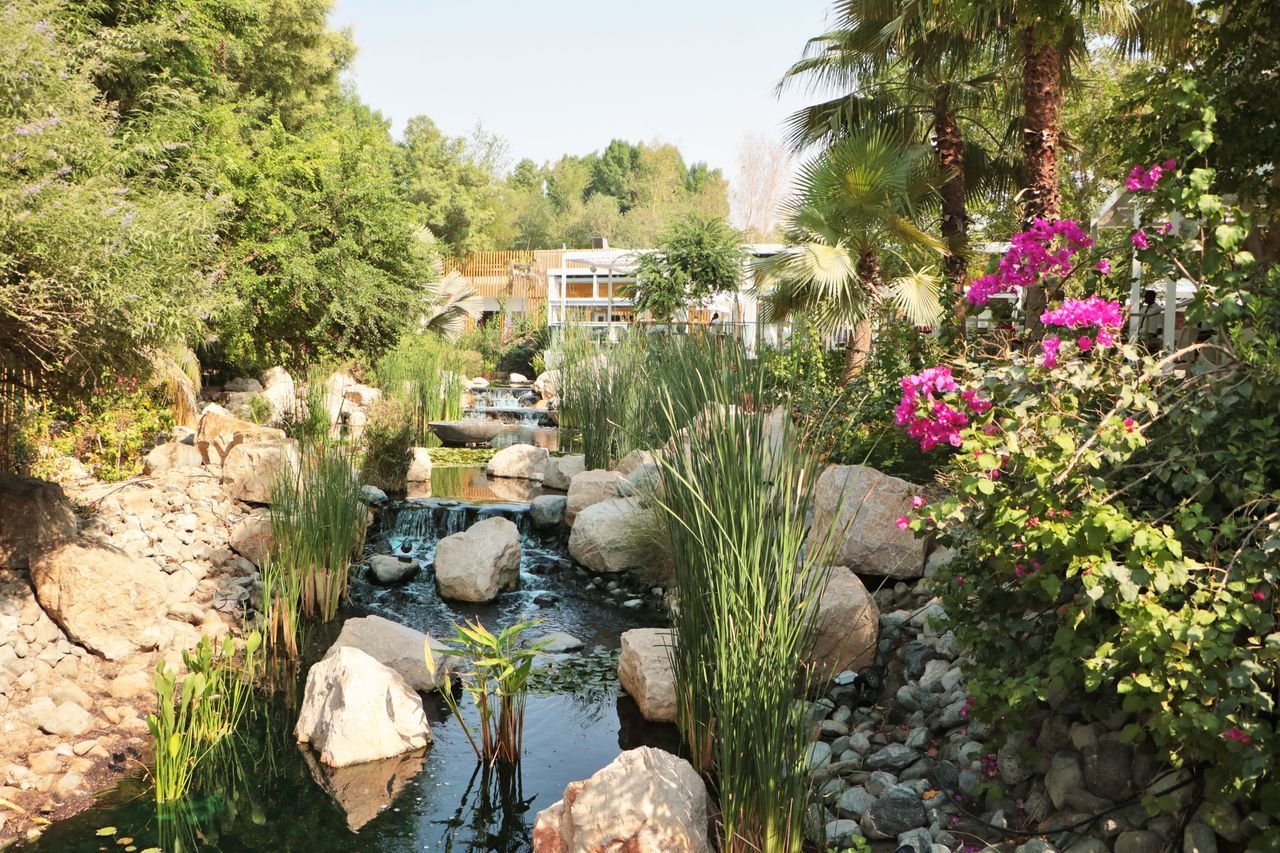 Streams at Al Barari