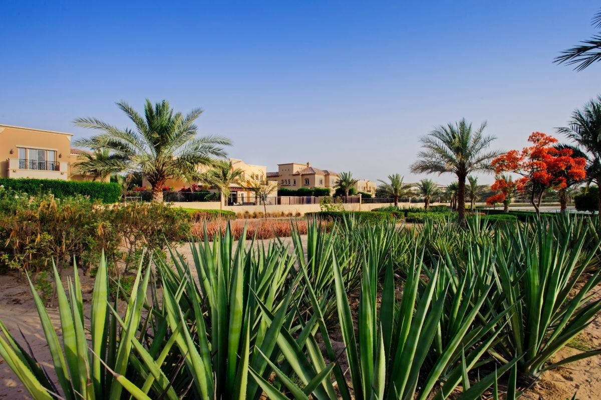 Arabian Ranches community view