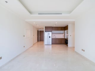 1 Level Below Penthouse, Marina and Full Palm View, picture 3