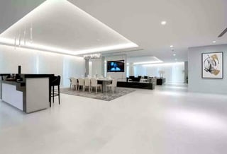 Luxurious Penthouse with Private Lift and Lobby, picture 3