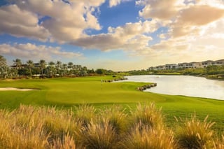 Emerald Hills, picture 3