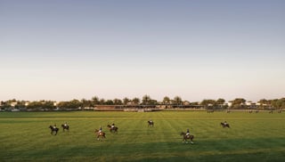 Grand Polo Club & Resort, picture 4