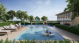 Greencrest, picture 4