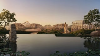Sei Saadiyat, picture 3