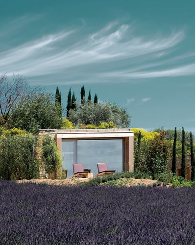 The Escape: Provence