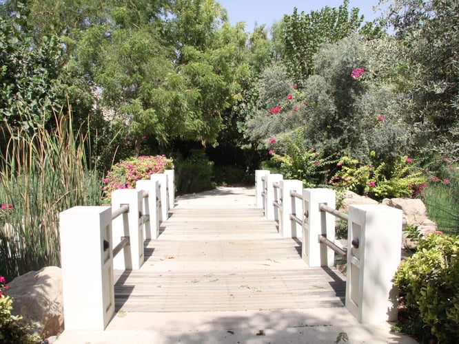 Best pet-friendly communities in Dubai