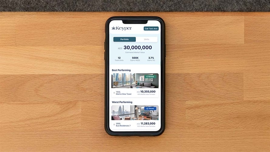 Why you need portfolio management in Dubai