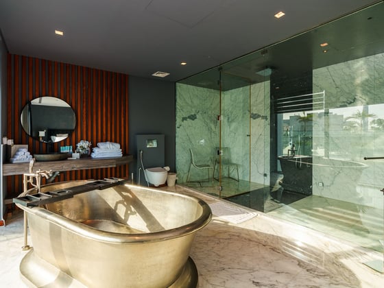 Lavish Palm Villa with Stunning Amenities, picture 10