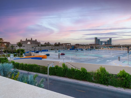 Lavish Palm Villa with Stunning Amenities, picture 20