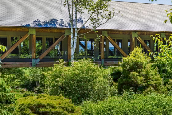 Deerwood, picture 36