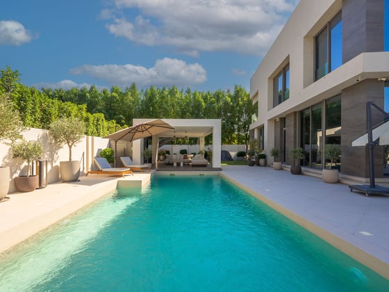 Luxurious Al Barari Villa with a Private Pool, picture 39
