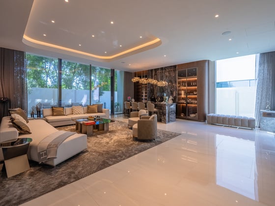 Luxurious Al Barari Villa with a Private Pool, picture 2