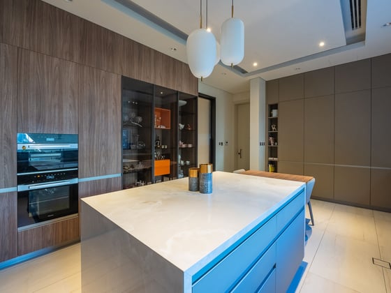 Luxurious Al Barari Villa with a Private Pool, picture 31