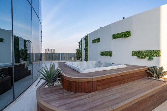Extraordinary Penthouse with Rooftop Terrace, picture 17