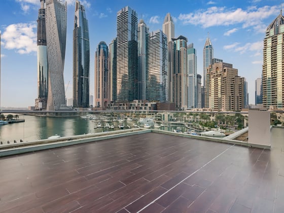 Investor Deal | 5BR Villa with a Vast Terrace, picture 13