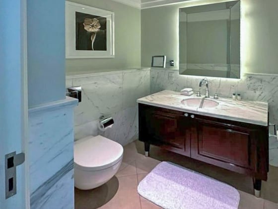 Fully Furnished Downtown Dubai Apartment, picture 8