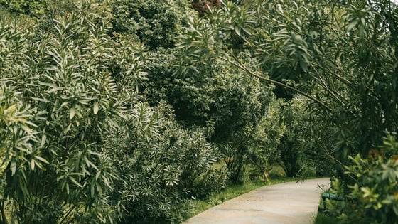 Distress l Motivated Seller l OP, picture 12