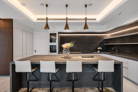 Extraordinary Fully Renovated Turnkey Beach Villa, picture 6