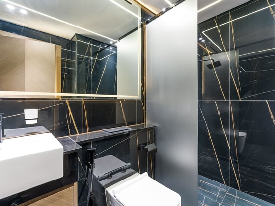 Brand new spacious 1br with balcony, picture 11