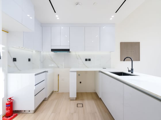 Brand new spacious 1br with balcony, picture 1