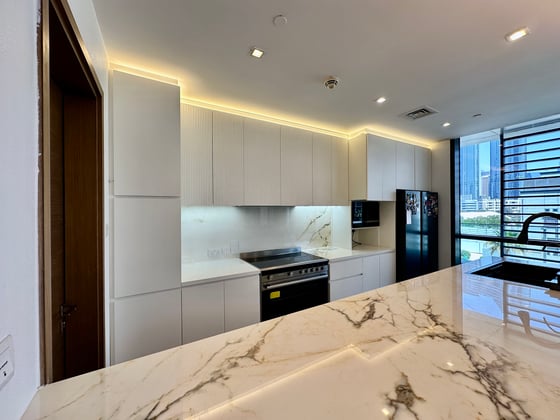 Burj Views | Upgraded | Vacant Now, picture 41