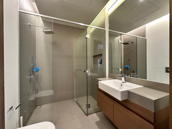Burj Views | Upgraded | Vacant Now, picture 25