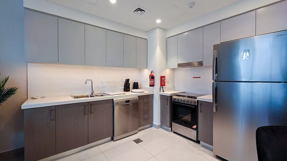 Furnished Luxury Apartment in Downtown Dubai, picture 8