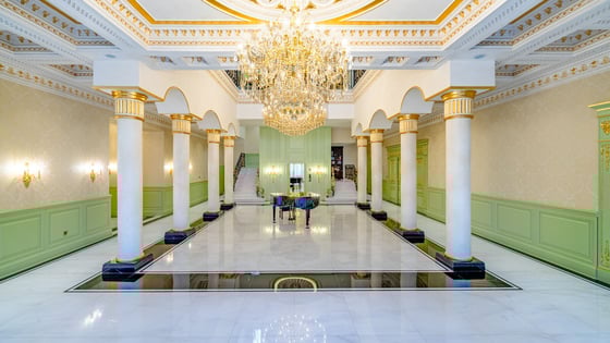 Palatial Furnished Villa in Al Mizhar 2 (GCC), picture 10
