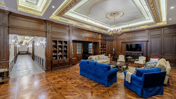Palatial Furnished Villa in Al Mizhar 2 (GCC), picture 4