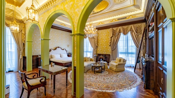 Palatial Furnished Villa in Al Mizhar 2 (GCC), picture 22