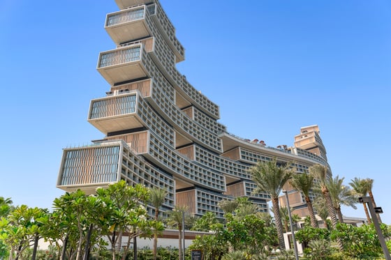 ***Beauty, Rarity and Timeless Elegance Awaits***, picture 40