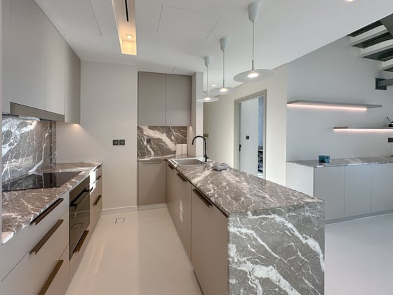 Stunning Penthouse Fully Furnished - Vacant, picture 22