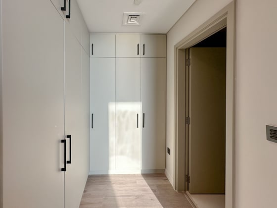 Stunning Penthouse Fully Furnished - Vacant, picture 12