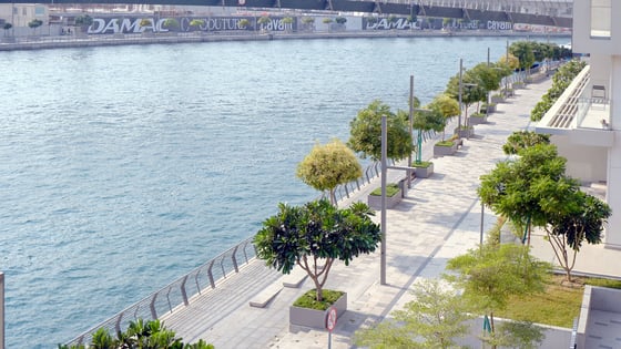 Fully Upgraded | Furnished | Vacant, picture 19