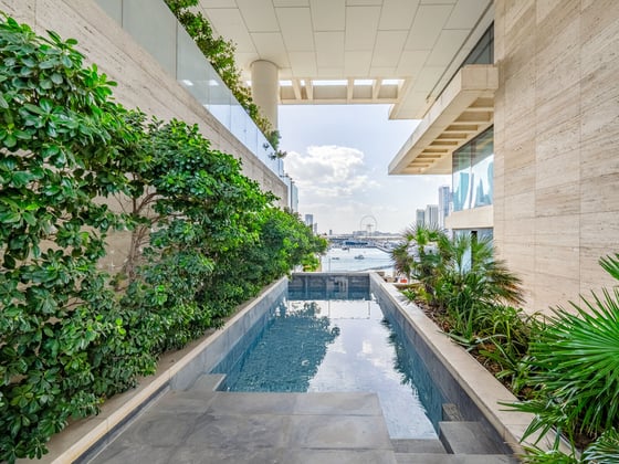 Exclusively Listed Penthouse with a Private Pool, picture 19