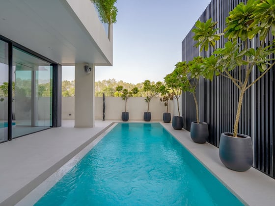 Stunning 4-Bed Custom Made Fully Furnished Villa, picture 2