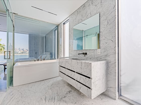 Vacant and Extended Ultra-Luxury Palm Villa, picture 18