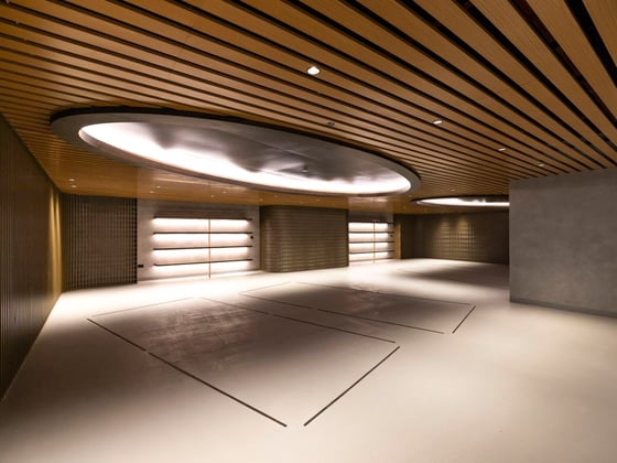 The Opus Penthouse by OMNIYAT, picture 24