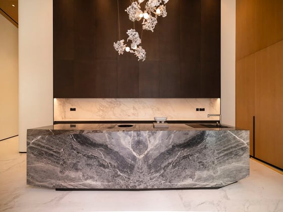 The Opus Penthouse by OMNIYAT, picture 16