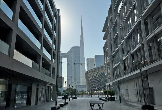 Boulevard View | Vacant on transfer | Upgraded, picture 20