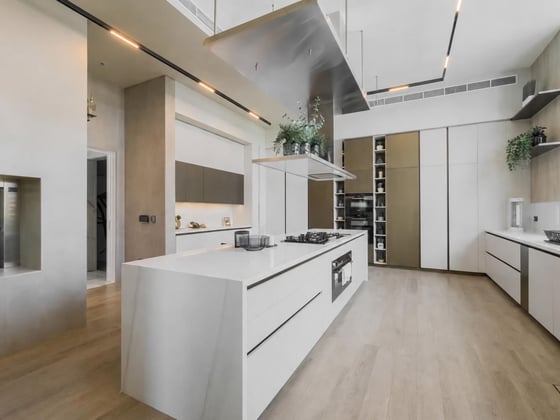 Exquisite Contemporary Villa in Dubai Hills, picture 9