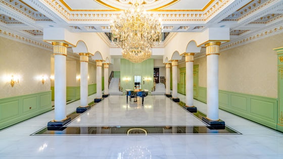 Palatial Furnished Villa in Al Mizhar 2 (GCC), picture 10