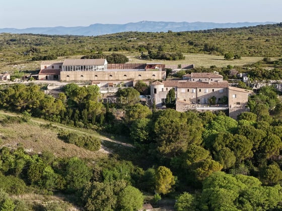 , picture 5