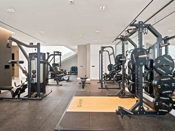 Luxurious Family-Friendly Villa in Dubai Hills, picture 31