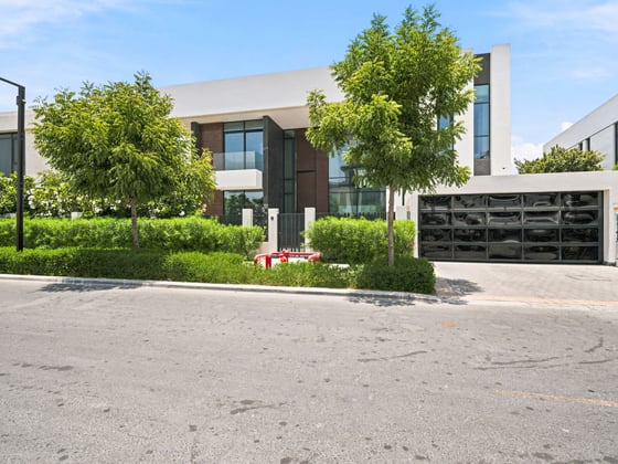 Luxurious Family-Friendly Villa in Dubai Hills, picture 12