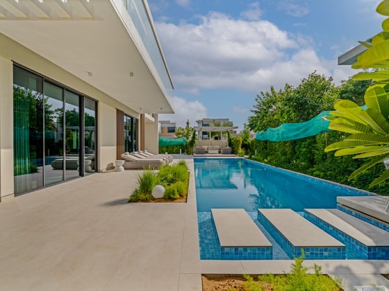Fully Furnished and Upgraded Luxury Villa, picture 27