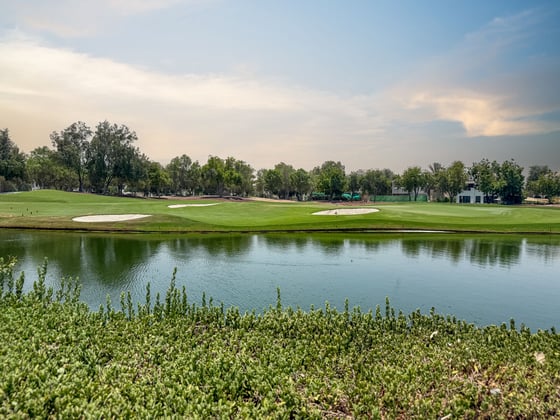 A Fairway Gem with Golf and Lake Views, picture 23