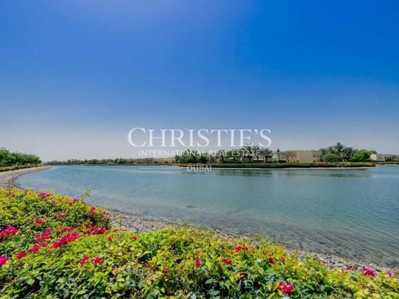 Stunning Villa with Lake Views and Elite Amenities, picture 20