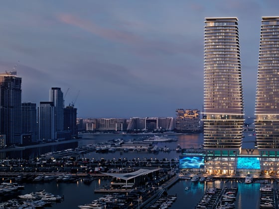 Luxurious Waterfront Apartment at W Residences, picture 1